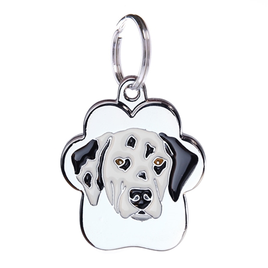 Picture of TAG RAINBOW DALMATION